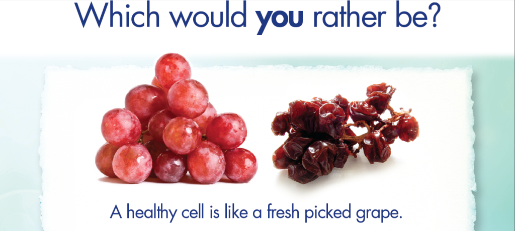 PEMF-Grape or Raisin